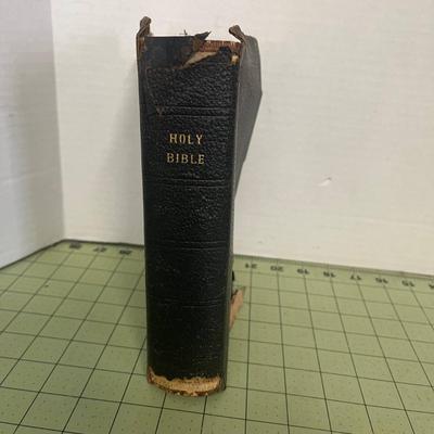 Holy Bible Bundle