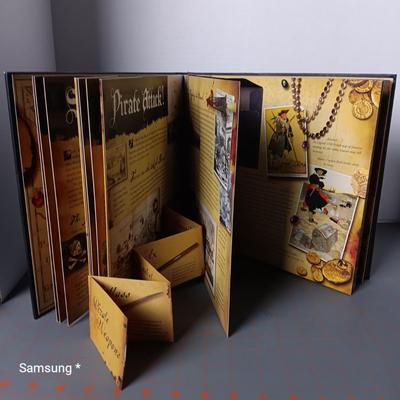 Pirates by John Matthews