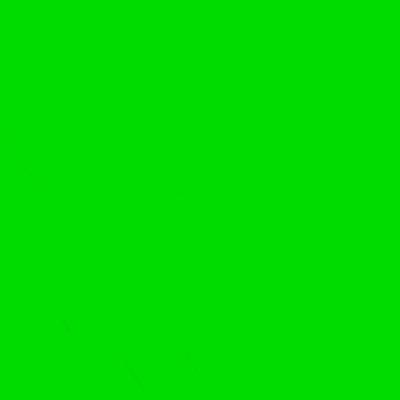 American Flag with Wood Pole