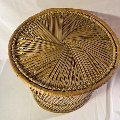 Woven Plant Stand & Planter (LR-MG)