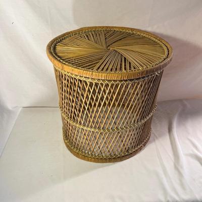 Woven Plant Stand & Planter (LR-MG)