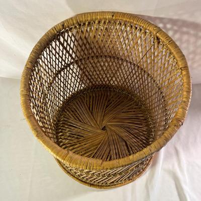Woven Plant Stand & Planter (LR-MG)