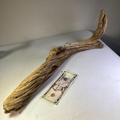 WEATHERED TWISTED PIECE OF DRIFTWOOD