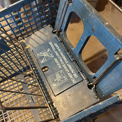 Pay n Pak Shopping cart.