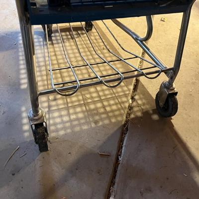 Pay n Pak Shopping cart.