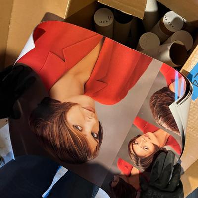 Box of vintage Salon posters