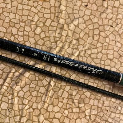Fishing Rod