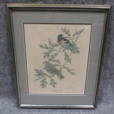 Rose-breasted Grosbeak Framed Wall Art Signed By Richard Parks Approx 21 3/4