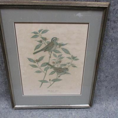 White-throated Sparrow Framed Wall Art Signed By Richard Parks Approx 21 3/4