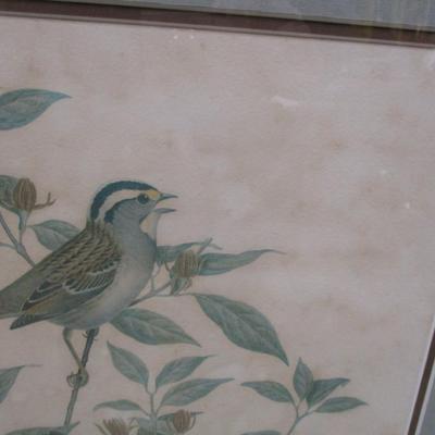 White-throated Sparrow Framed Wall Art Signed By Richard Parks Approx 21 3/4
