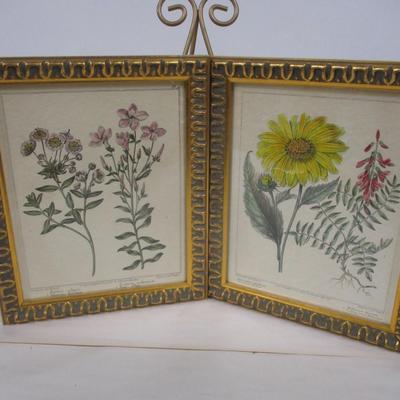Framed Botanical Prints Approx 11 1/2