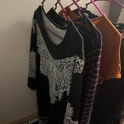 Lot of womenâ€™s large tops