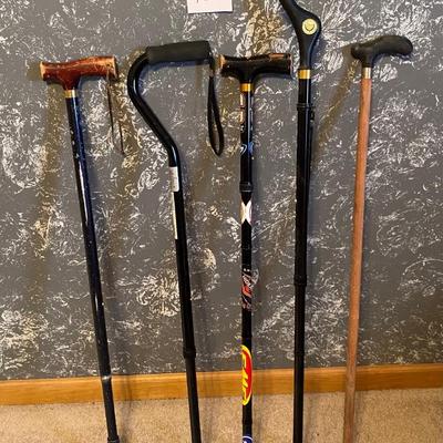 Walking Cane Lot
