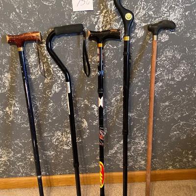 Walking Cane Lot