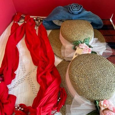 Lot 419 3 Ladies Hats 2 Red Scarfs 1 flannel Scarf