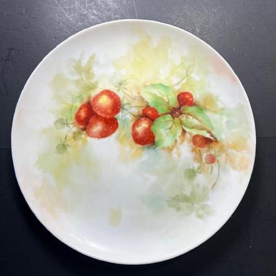 Hand Painted china plates