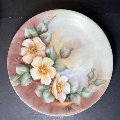 Hand Painted china plates