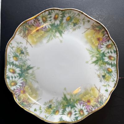 Hand Painted china plates