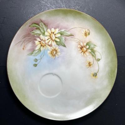 Hand Painted china plates