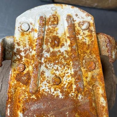 Rustic Roller Skates