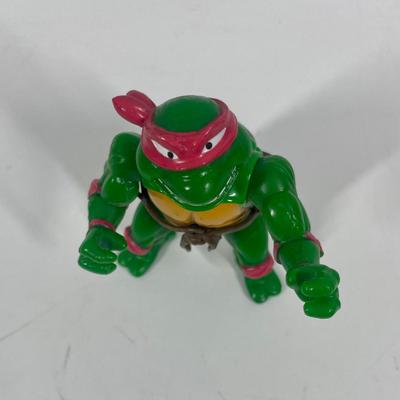 Teenage Mutant Ninja Turtle TMNT Action Figure