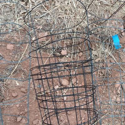 Several tomato / garden plant cages