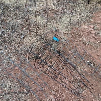 Several tomato / garden plant cages