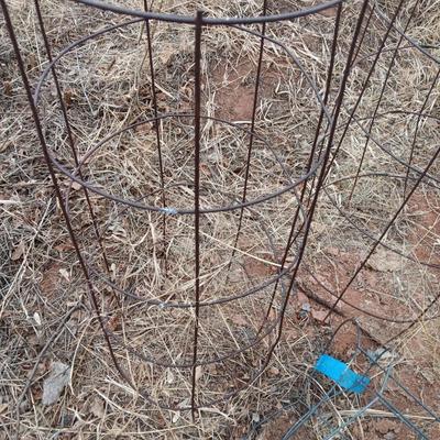 Several tomato / garden plant cages