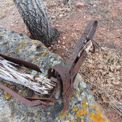 Antique primitive Farm /yard art