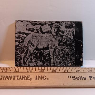Three laser art tiles Ram - Owl and Bear