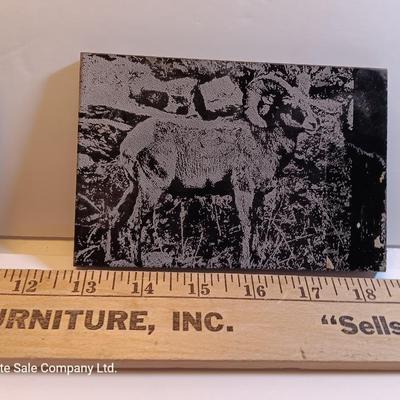 Three laser art tiles Ram - Owl and Bear