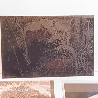 Three laser art tiles - Owls- lion and polar near with two pocketknives