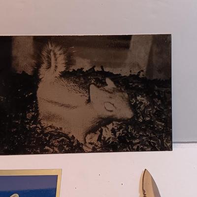 Three laser art tin / metal elk - squirrel - and Polar bear with two pocketknives
