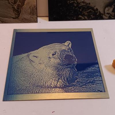 Three laser art tin / metal elk - squirrel - and Polar bear with two pocketknives