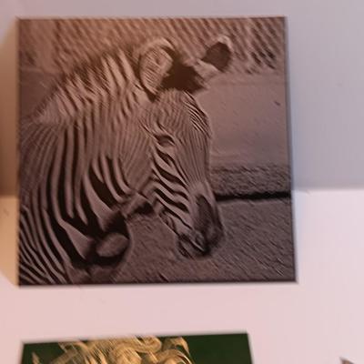 Laser art tiles tin with turtle - Zebra- Polar bear and two pocketknives