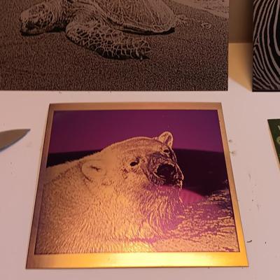 Laser art tiles tin with turtle - Zebra- Polar bear and two pocketknives