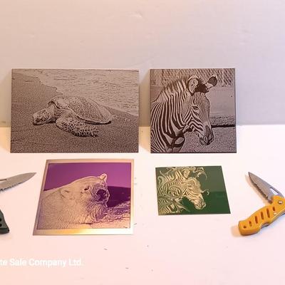 Laser art tiles tin with turtle - Zebra- Polar bear and two pocketknives