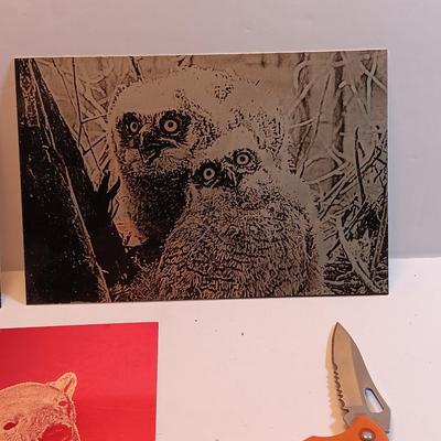 Laser art tin tiles - big horn - Owls and polar bear with two pocketknives