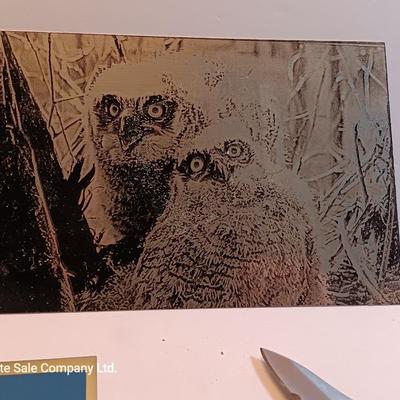 Laser art metal / tin tiles with two pocketknives big horn -- Owls - polar bear