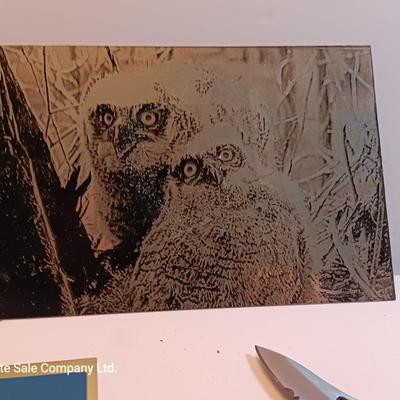 Laser art metal / tin tiles with two pocketknives big horn -- Owls - polar bear