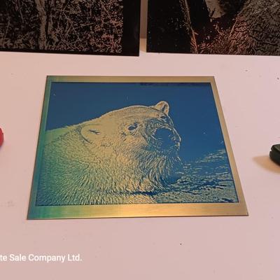 Laser art metal / tin tiles with two pocketknives big horn -- Owls - polar bear