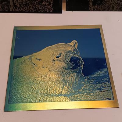 Laser art metal / tin tiles with two pocketknives big horn -- Owls - polar bear