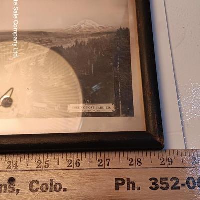 Antique long framed Greene Post Card Co. Camp LEWIS Washington picture