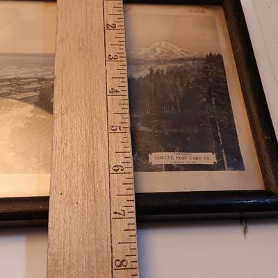 Antique long framed Greene Post Card Co. Camp LEWIS Washington picture