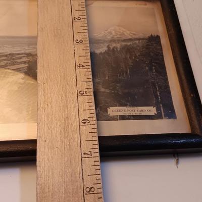 Antique long framed Greene Post Card Co. Camp LEWIS Washington picture