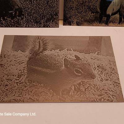Laser art tin / metal tiles - squirrel - moose - elk