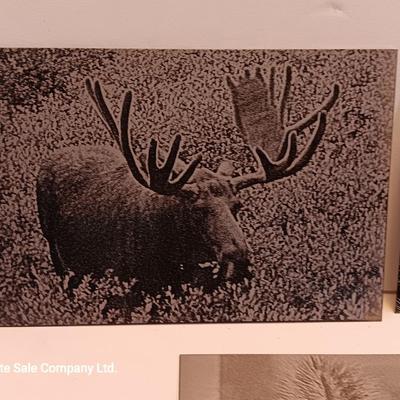 Laser art tin / metal tiles - squirrel - moose - elk
