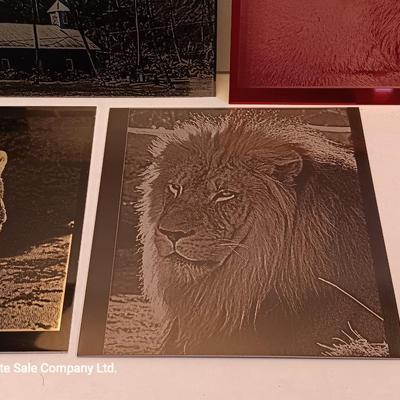 Colored tin / metal laser art - polar bears - lion - Island cabana