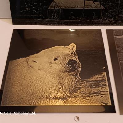Colored tin / metal laser art - polar bears - lion - Island cabana