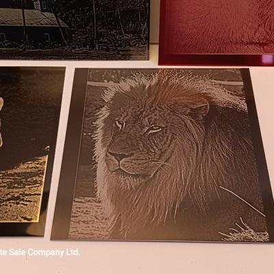 Colored tin / metal laser art - polar bears - lion - Island cabana